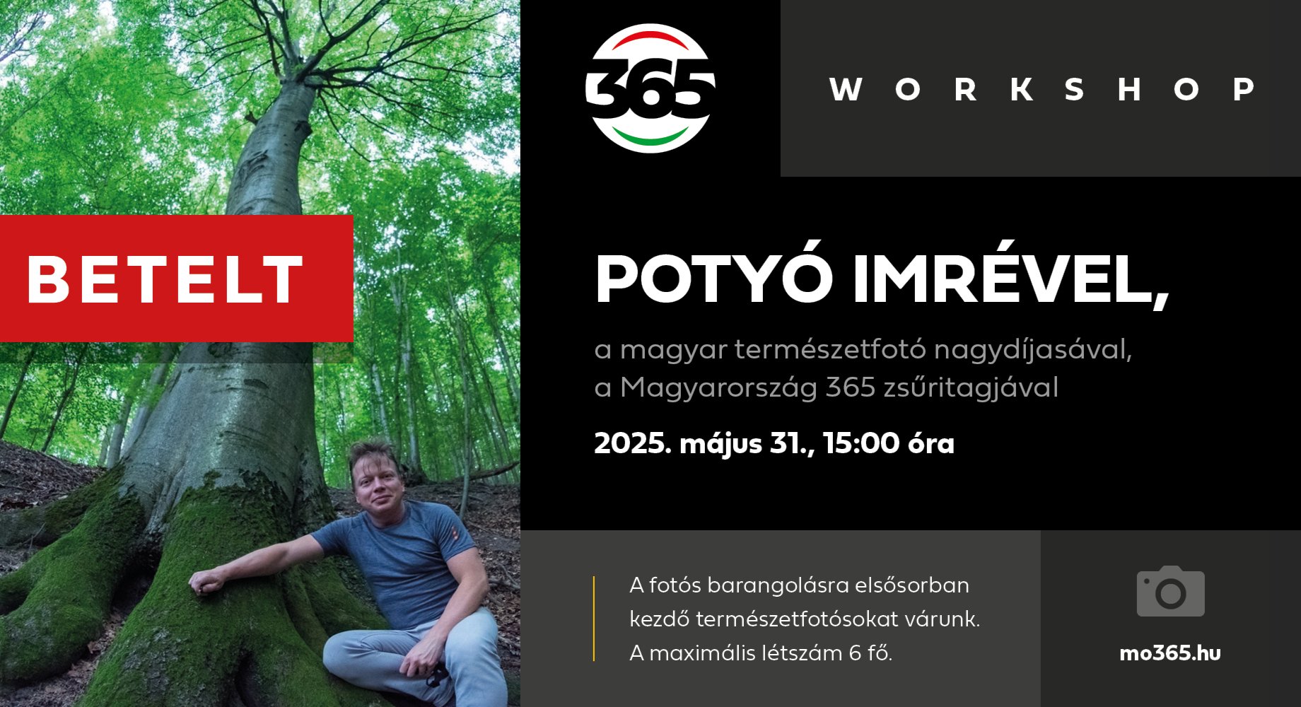 Kora nyári fotós séta Királyréten POTYÓ IMRÉVEL