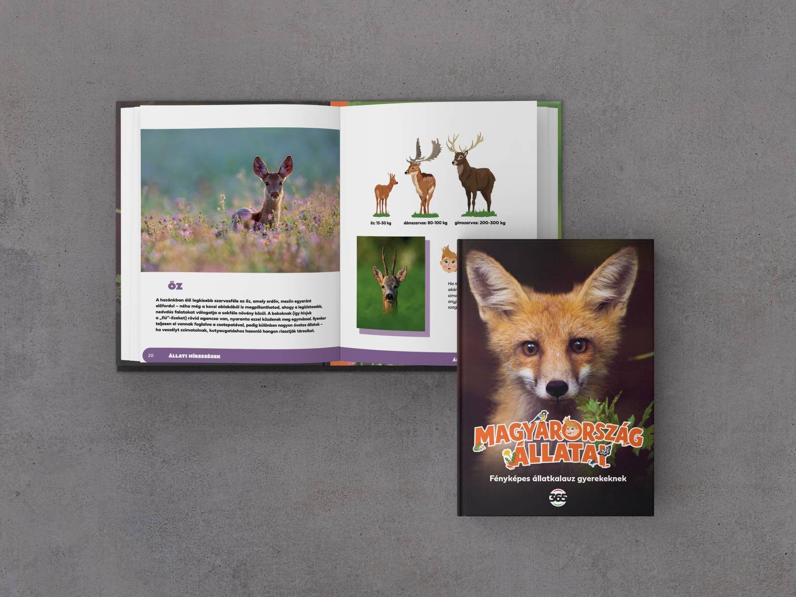 Magyarország állatai - Fényképes állatkalauz gyerekeknek