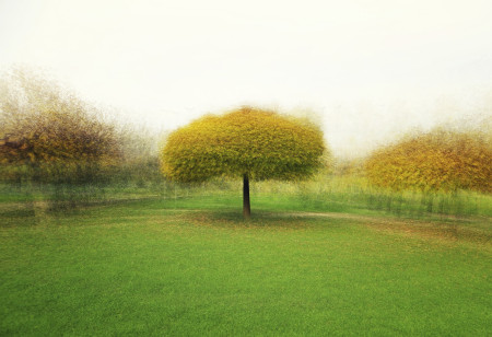 Alagi Mihály - Kaldi