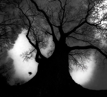 Daróczi Csaba - Az erdő állatai