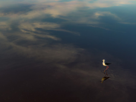 Daróczi Csaba - Felhők között