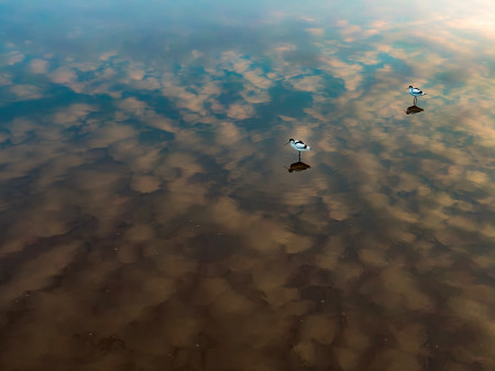 Daróczi Csaba - Felhők között