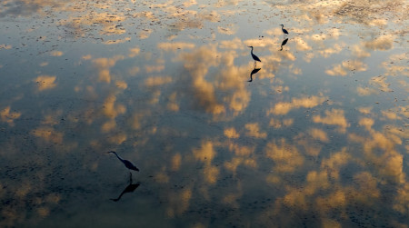 Daróczi Csaba - Felhők között