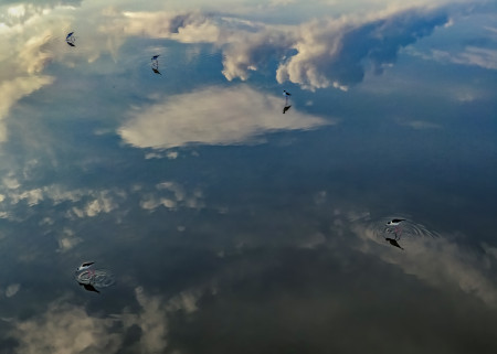 Daróczi Csaba - Felhők között