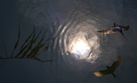 Daróczi Csaba - Icarus