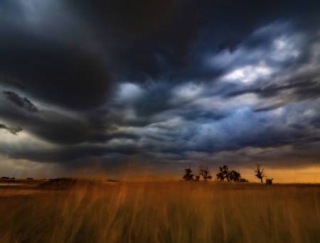 Daróczi Csaba - Vihar a pusztán