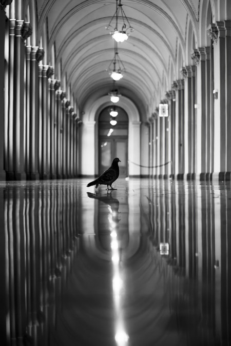 Hencz Judit - Utazó