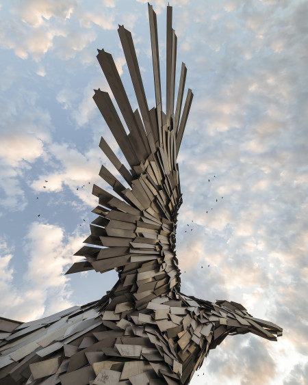 Hliva Ádám - A Sas leszállt