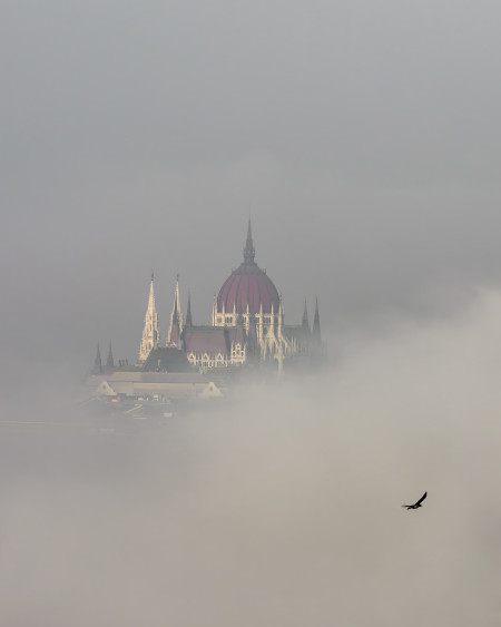 Hliva Ádám - Ködtakaró