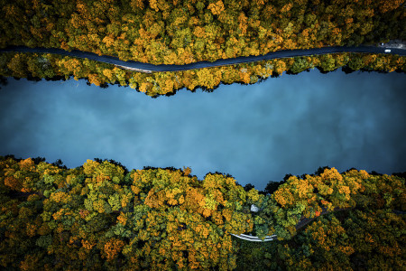 Horváth Csongor - Ősz a Hámori-tónál