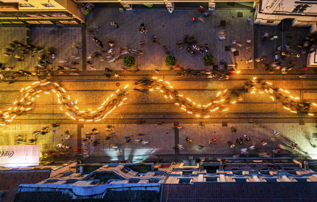 Horváth Csongor - Szalamander