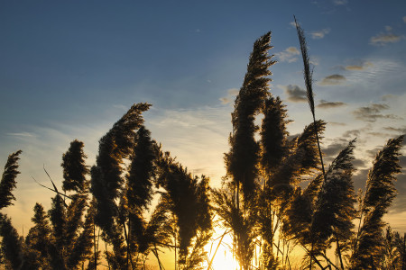 Kamicsár Attila - Nyugovóra