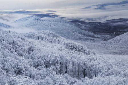Körmendy Zizi - Hideg hajnalon