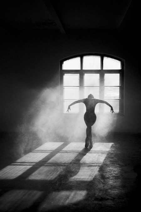 Kormos Csanád - A fecske