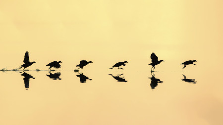 Kreiner Roland - Vizityúk start