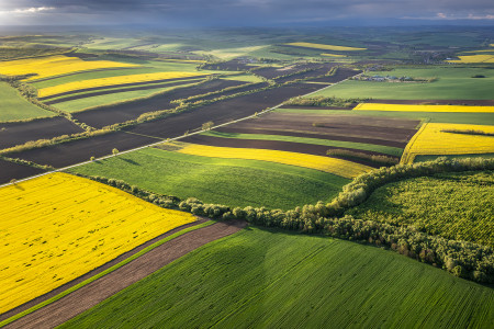 Laczkó Gergő - A tavasz színei