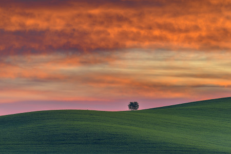 Laczkó Gergő - Egyedül