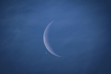 Majzik Lionel - Vénusz-fedés