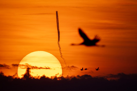 Máté Bence - Röppályák