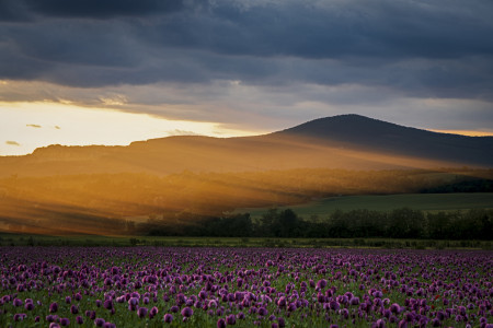 Mojzes Péter - Fénytörés