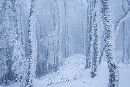 Potyó Imre - Fagyasztó