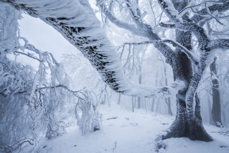 Potyó Imre - Fagyos karok
