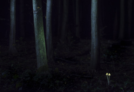 Potyó Imre - Kettesben