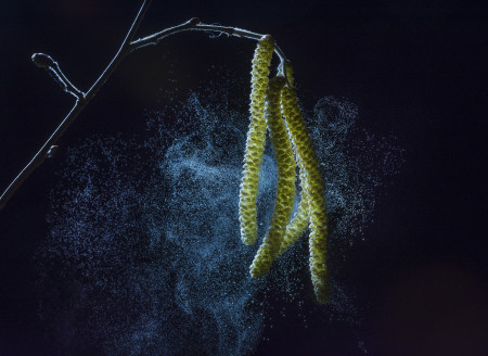 Potyó Imre - Varázsló