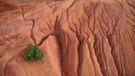 Ravasz Balázs - Élet a Marson