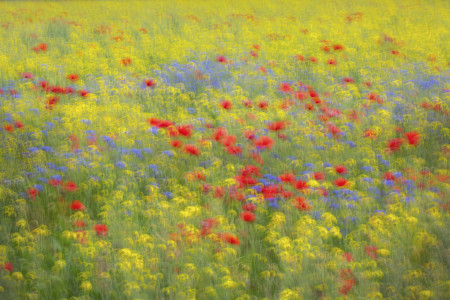 Ravasz Balázs - Impresszionisták nyomában