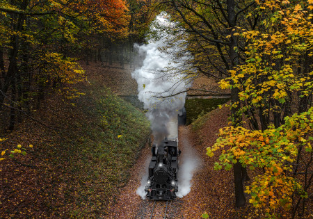 Rizsavi Tamás - Őszi pöfögés