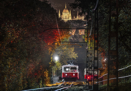 Rizsavi Tamás - Szemtől szemben