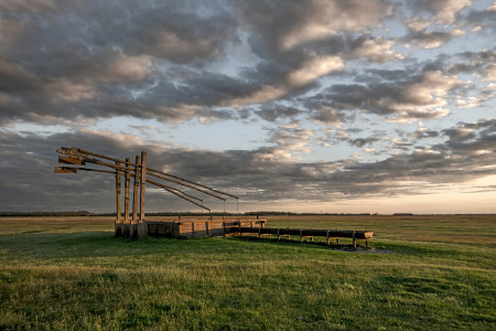 Sasvári Zsolt - Hortobágyi gémek