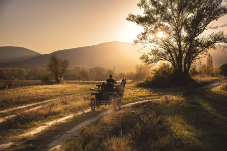 Szakács Áron - Vidéki dinamika a Szentendrei-szigeten