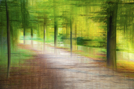 Szakolczai Krisztina - Reggel a Normafánál