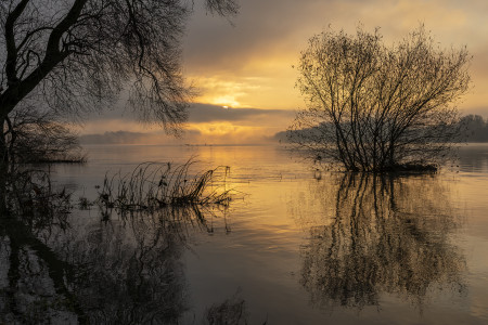 Török Máté - Reggeli Dunakanyar