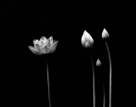 Várkonyi Zsófia - Kövessetek!