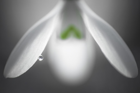 Vizúr János - Cseppke