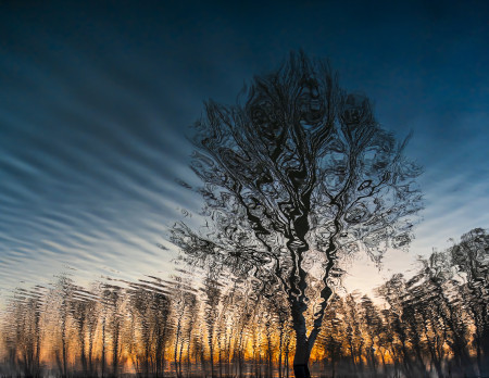 Vizúr János - Duna áradás