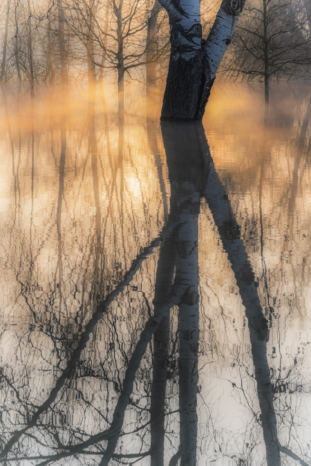 Vizúr János - Duna áradás